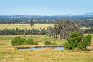 Photo - 285 Hoffmans Road, Culcairn NSW 2660 - Image 23