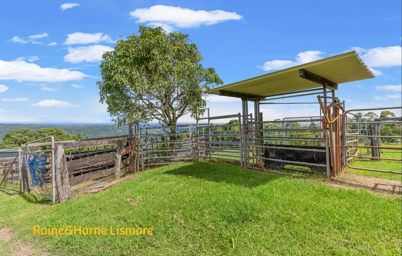 Photo - 285 Rose Road, Tuntable Creek NSW 2480 - Image 23