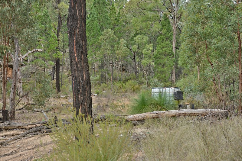 Photo - 285 Salaks Road, Coonabarabran NSW 2357 - Image 3