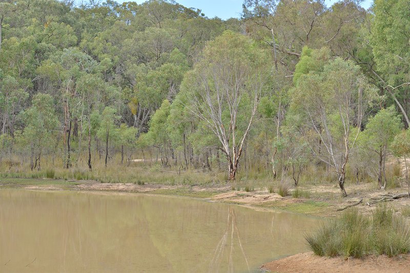 Photo - 285 Salaks Road, Coonabarabran NSW 2357 - Image 5