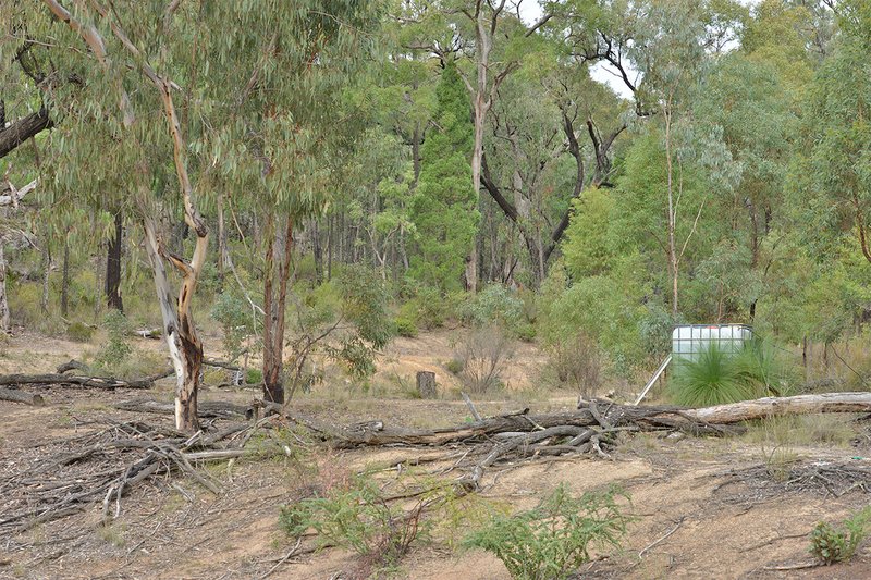 Photo - 285 Salaks Road, Coonabarabran NSW 2357 - Image 6