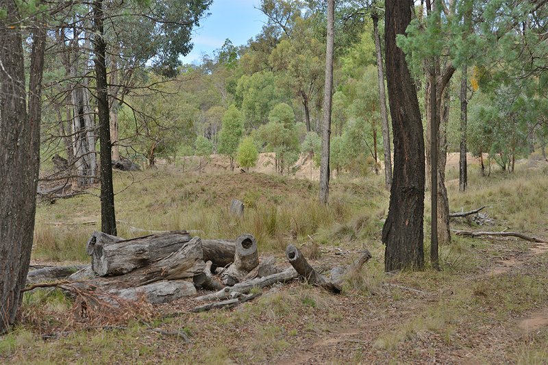 Photo - 285 Salaks Road, Coonabarabran NSW 2357 - Image 12