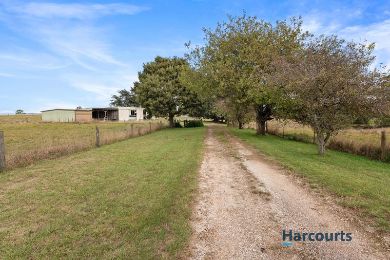 Photo - 286 Lower Barrington Road, Lower Barrington TAS 7306 - Image 15