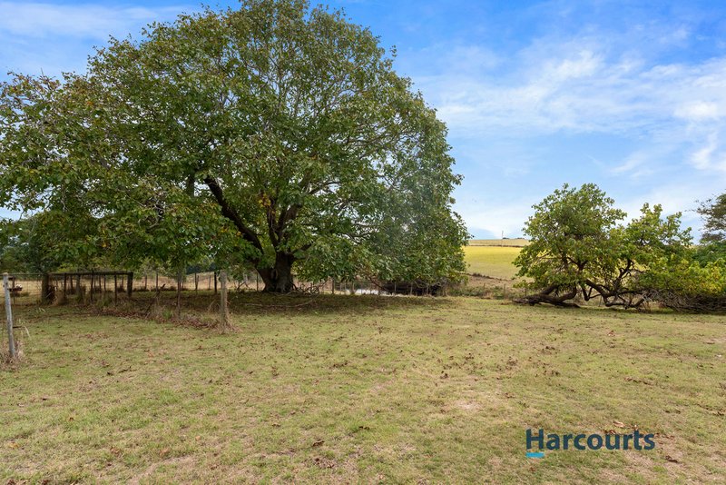 Photo - 286 Lower Barrington Road, Lower Barrington TAS 7306 - Image 17