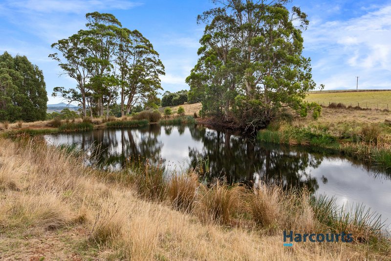 Photo - 286 Lower Barrington Road, Lower Barrington TAS 7306 - Image 18