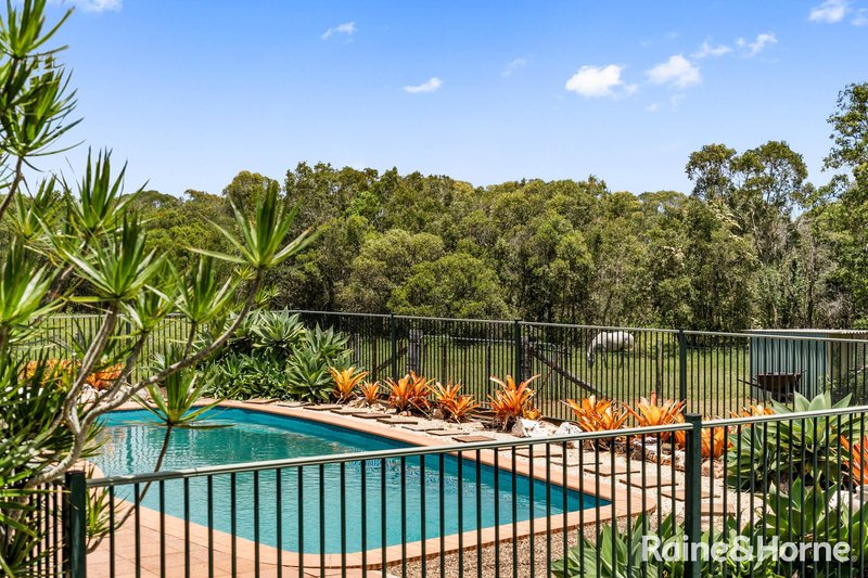 Photo - 286 Mungomery Road, Takura QLD 4655 - Image 8