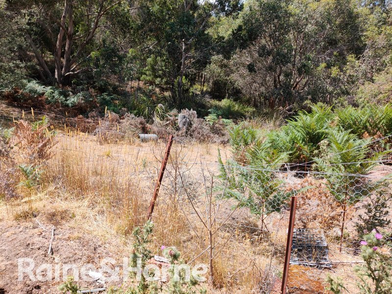 Photo - 286 Roaring Beach Road, Nubeena TAS 7184 - Image 5