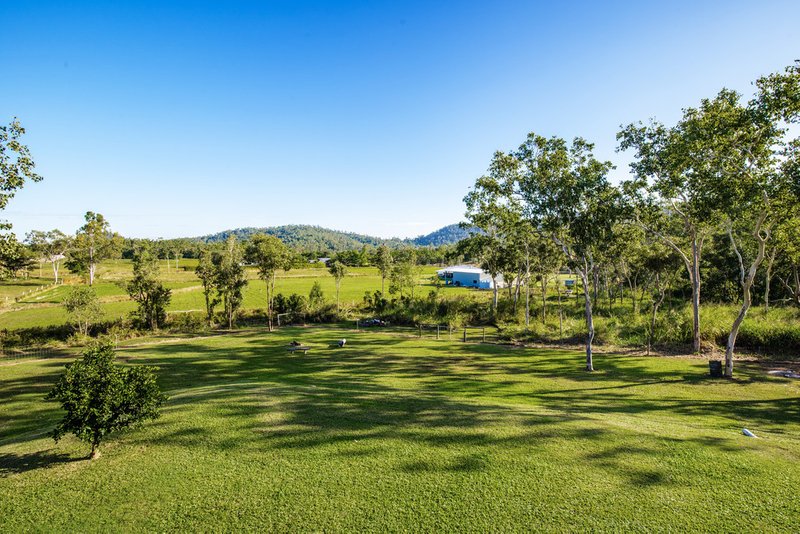 Photo - 286 Sugarloaf Road, Riordanvale QLD 4800 - Image 16