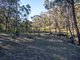 Photo - 287 Blackheath Creek Road, Kanimbla NSW 2790 - Image 7