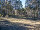 Photo - 287 Blackheath Creek Road, Kanimbla NSW 2790 - Image 10