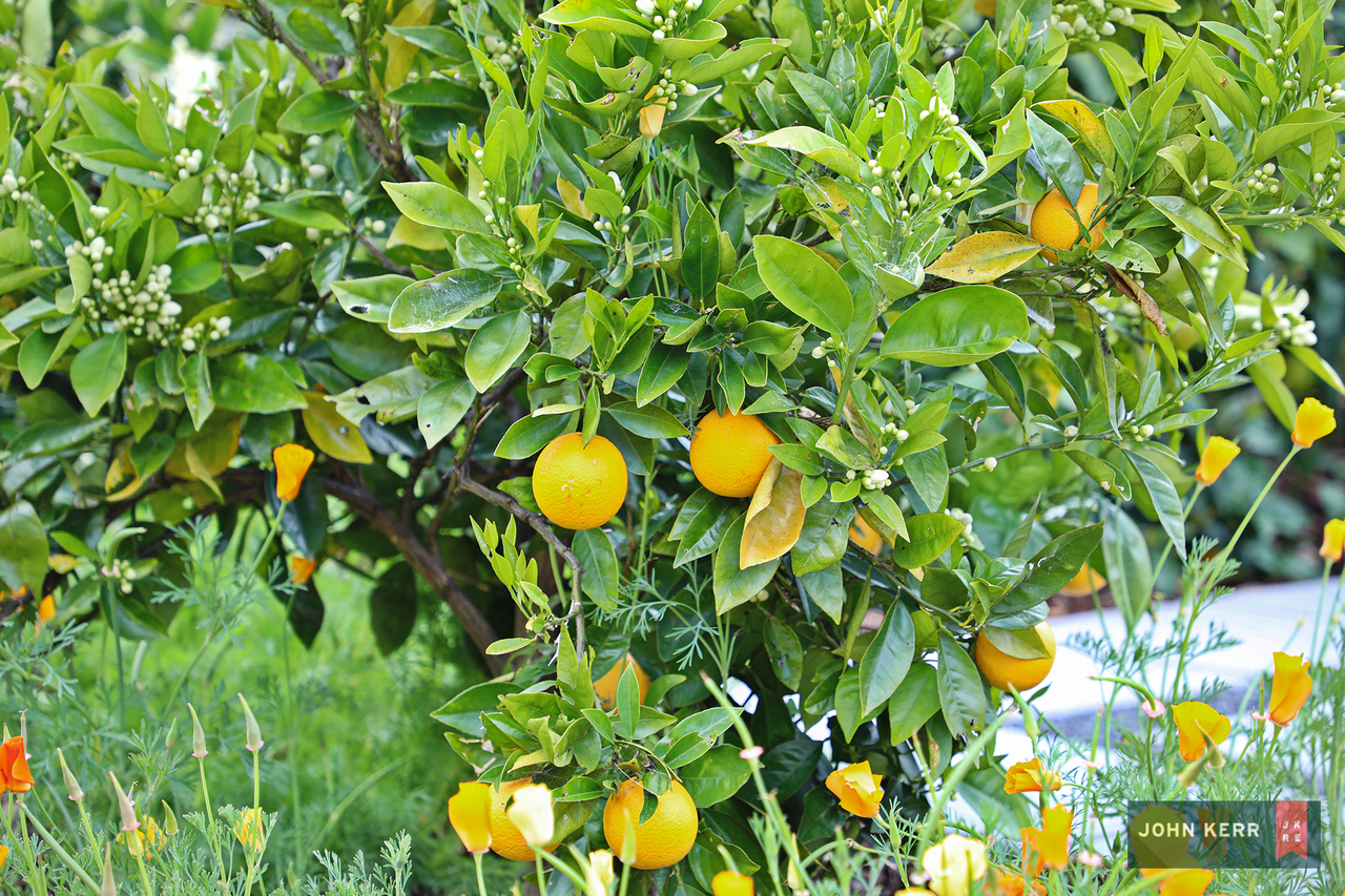 5-bedroom house at 287 Coalville Road, Moe South VIC 3825, , Victoria