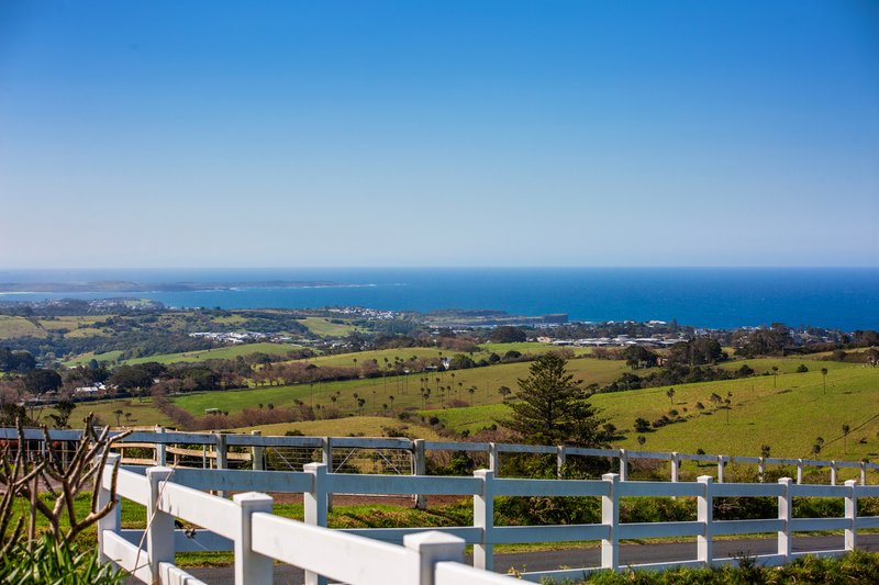 Photo - 287 Saddleback Mountain Road, Kiama NSW 2533 - Image 3