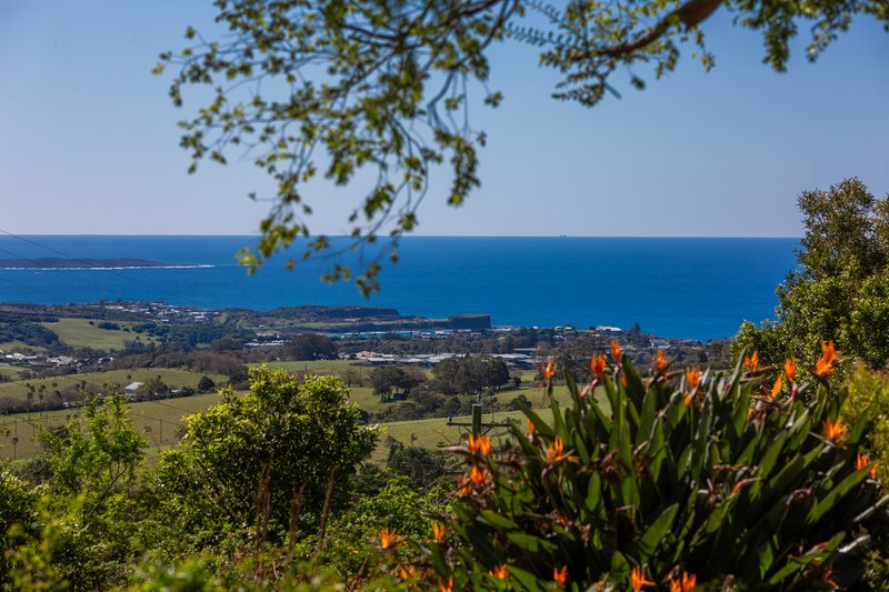 Photo - 287 Saddleback Mountain Road, Kiama NSW 2533 - Image 5