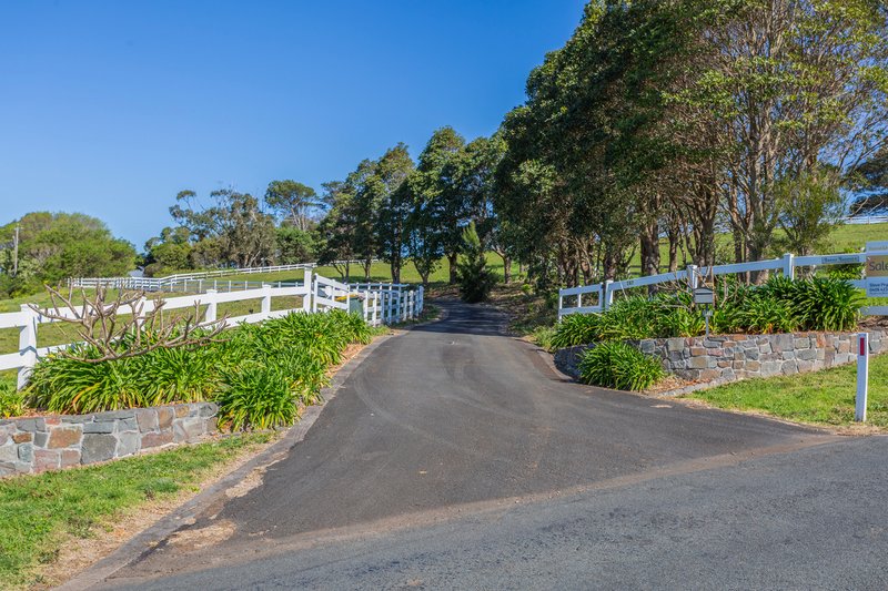 Photo - 287 Saddleback Mountain Road, Kiama NSW 2533 - Image 9