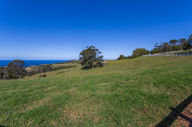 Photo - 287 Saddleback Mountain Road, Kiama NSW 2533 - Image 30