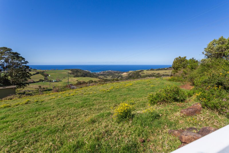 Photo - 287 Saddleback Mountain Road, Kiama NSW 2533 - Image 31