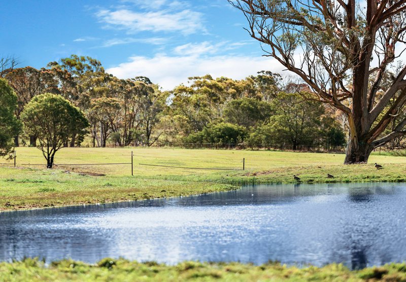 Photo - 287 Tiyces Lane, Boxers Creek NSW 2580 - Image 8