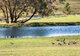 Photo - 287 Tiyces Lane, Boxers Creek NSW 2580 - Image 14