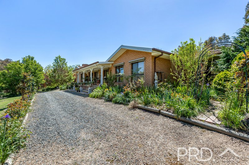 Photo - 287 Wondalga Road, Adelong NSW 2729 - Image 3