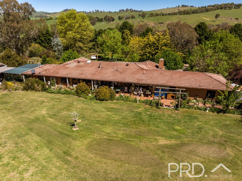 Photo - 287 Wondalga Road, Adelong NSW 2729 - Image 10