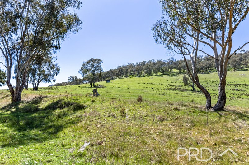 Photo - 287 Wondalga Road, Adelong NSW 2729 - Image 11