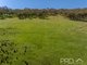 Photo - 287 Wondalga Road, Adelong NSW 2729 - Image 12