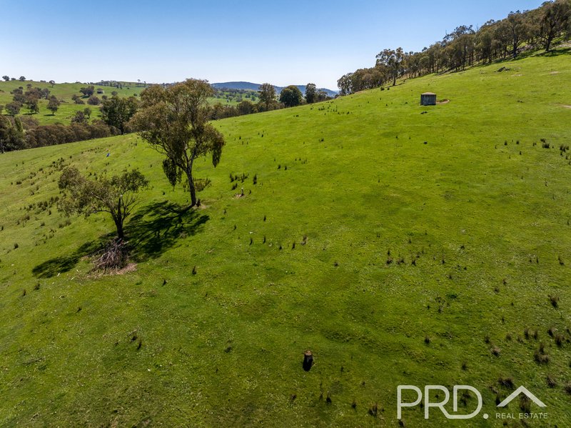 Photo - 287 Wondalga Road, Adelong NSW 2729 - Image 14