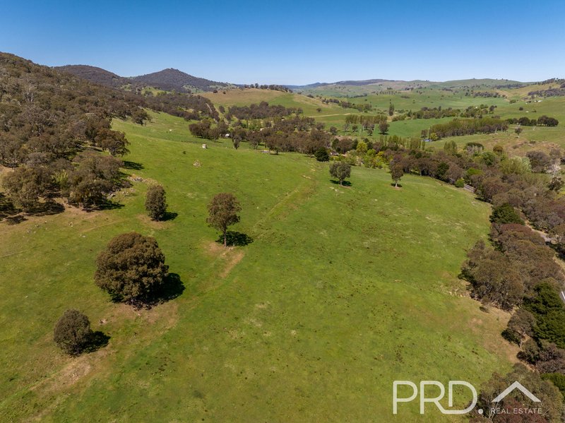 Photo - 287 Wondalga Road, Adelong NSW 2729 - Image 15