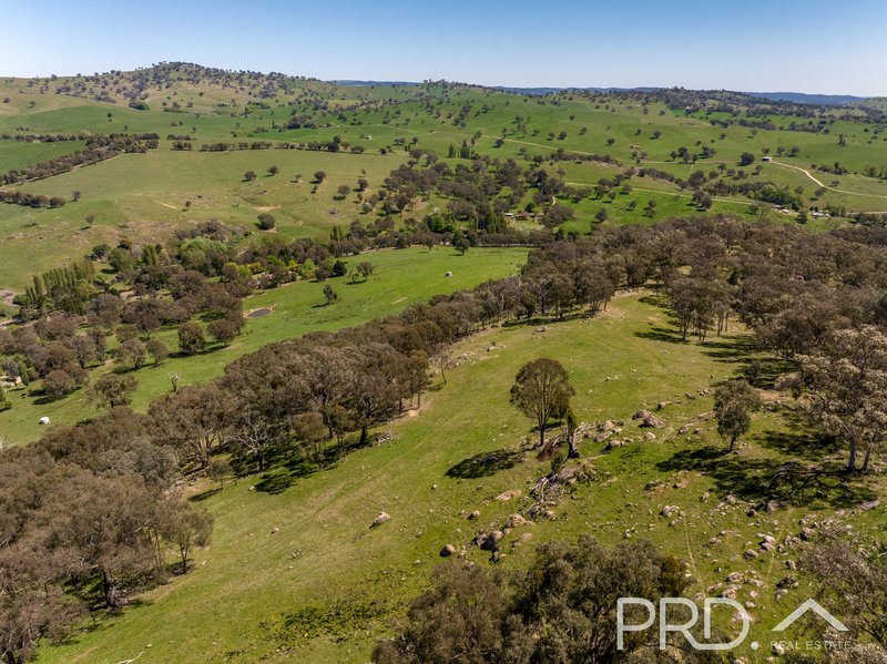 Photo - 287 Wondalga Road, Adelong NSW 2729 - Image 26