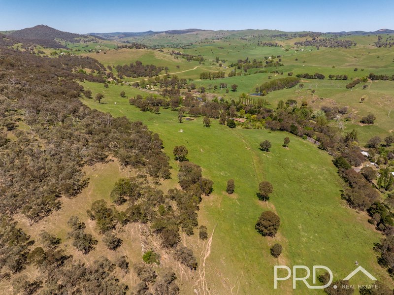 Photo - 287 Wondalga Road, Adelong NSW 2729 - Image 27