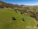 Photo - 287 Wondalga Road, Adelong NSW 2729 - Image 28