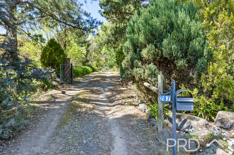 Photo - 287 Wondalga Road, Adelong NSW 2729 - Image 30