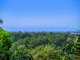 Photo - 288 Mooloolaba Road, Buderim QLD 4556 - Image 17