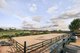Photo - 288 Tiyces Lane, Boxers Creek NSW 2580 - Image 23