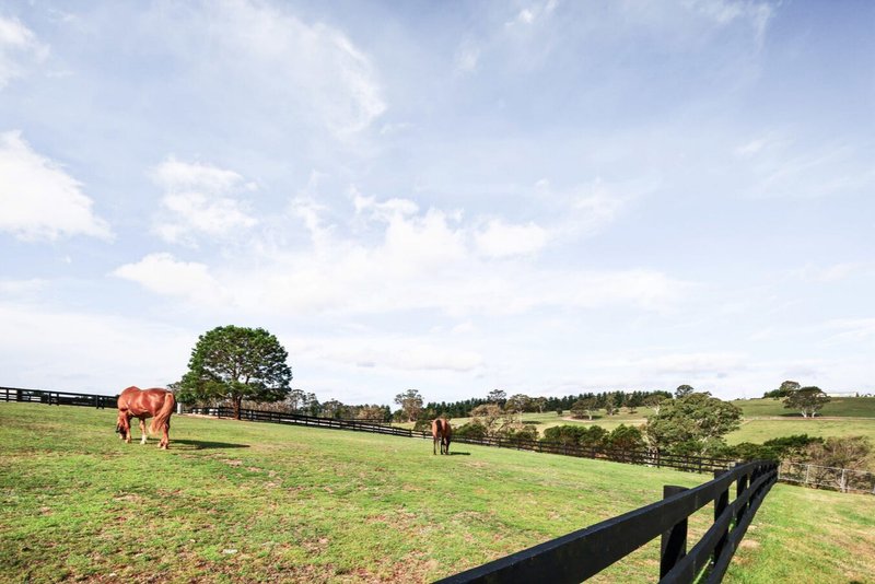 Photo - 288 Tiyces Lane, Boxers Creek NSW 2580 - Image 25