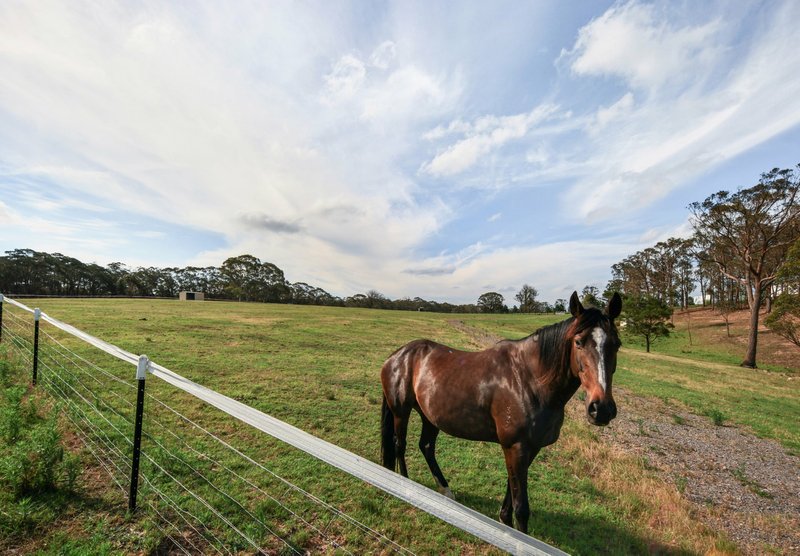 Photo - 288 Tiyces Lane, Boxers Creek NSW 2580 - Image 23