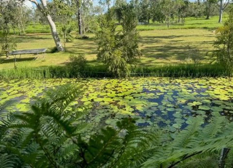 288F Old Coach Road, Majors Creek QLD 4816