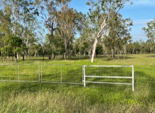 Photo - 288F Old Coach Road, Majors Creek QLD 4816 - Image 4