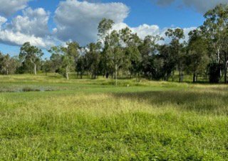 Photo - 288F Old Coach Road, Majors Creek QLD 4816 - Image 17