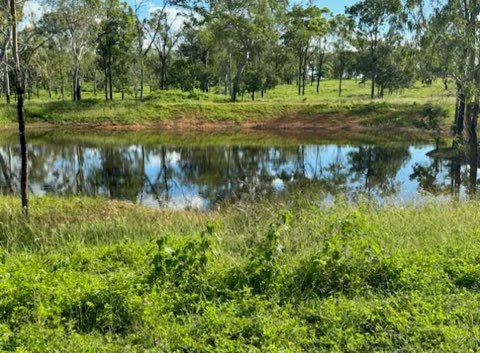 Photo - 288F Old Coach Road, Majors Creek QLD 4816 - Image 28