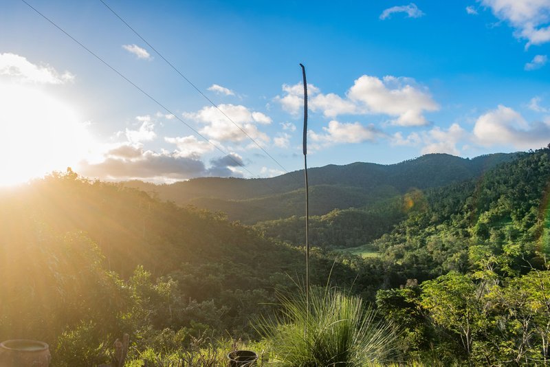 Photo - 289 Forestry Road, Brandy Creek QLD 4800 - Image 6