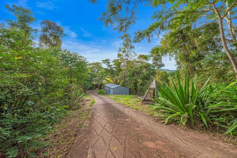 Photo - 289 Forestry Road, Brandy Creek QLD 4800 - Image 11