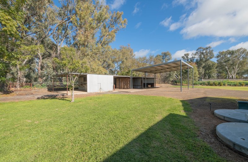 Photo - 289 Lower Bathurst Street, Forbes NSW 2871 - Image 16