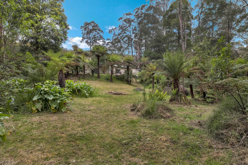 Photo - 289 Mt Baw Baw Tourist Road, Noojee VIC 3833 - Image 14