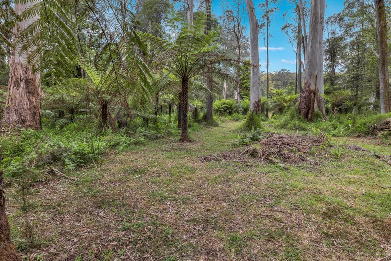 Photo - 289 Mt Baw Baw Tourist Road, Noojee VIC 3833 - Image 15