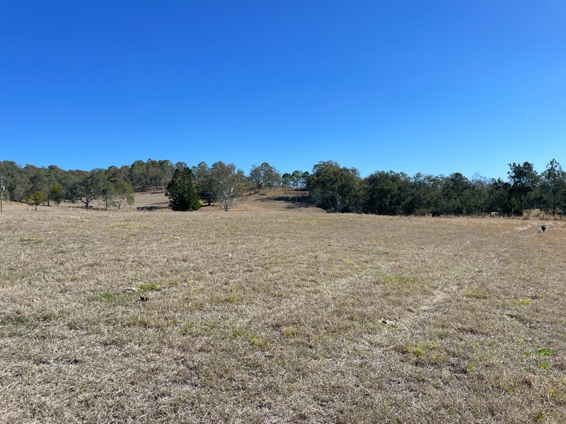 Photo - 289 Widgee Creek Road, Hillview QLD 4285 - Image 3