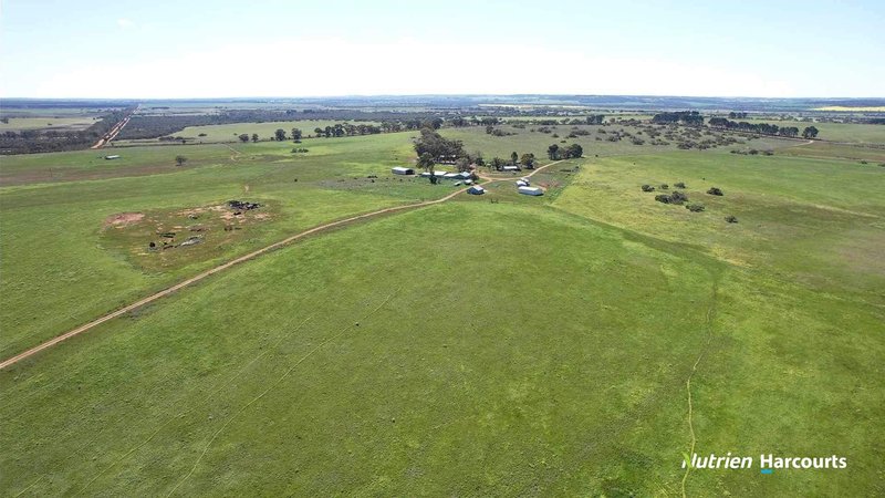 Photo - 2898 & 3178 Gillingarra Road, Mogumber WA 6506 - Image 3