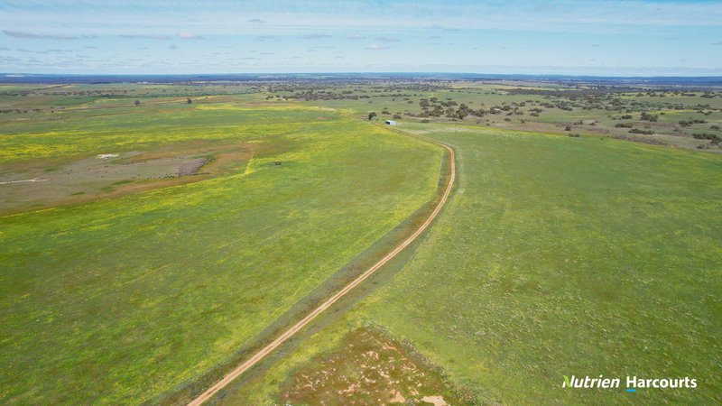 Photo - 2898 & 3178 Gillingarra Road, Mogumber WA 6506 - Image 9