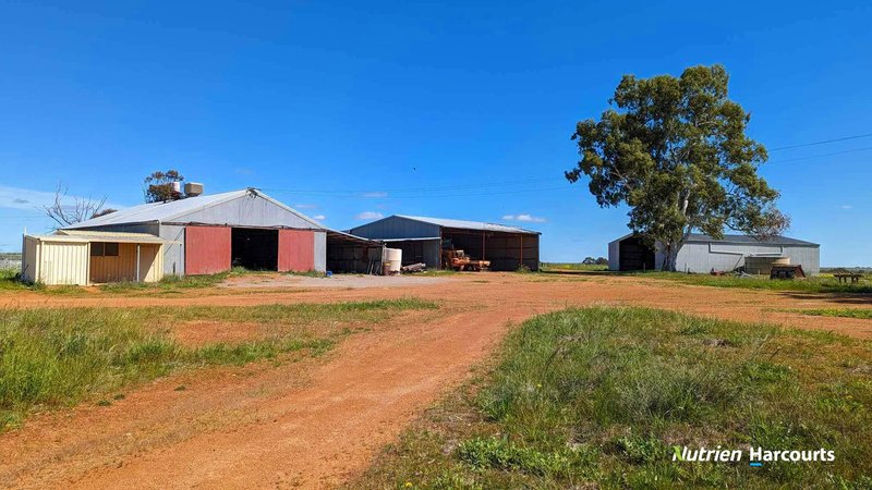 Photo - 2898 & 3178 Gillingarra Road, Mogumber WA 6506 - Image 16