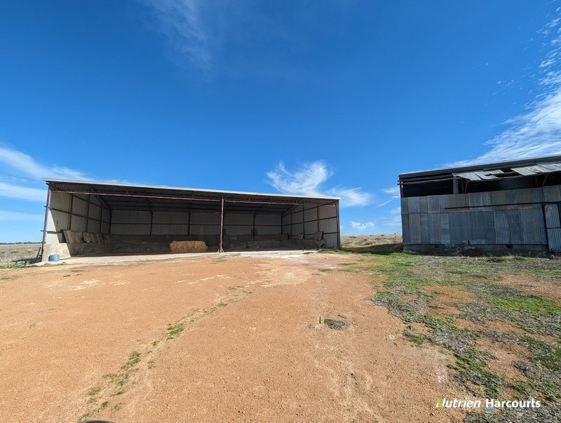 Photo - 2898 & 3178 Gillingarra Road, Mogumber WA 6506 - Image 17